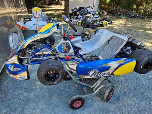 2017 Praga ROK GP Racing Kart